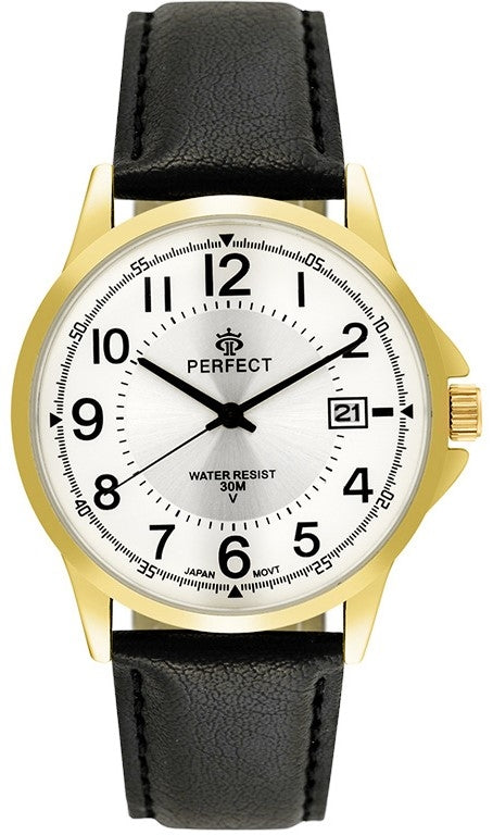 Zegarek Męski PERFECT C710T-09