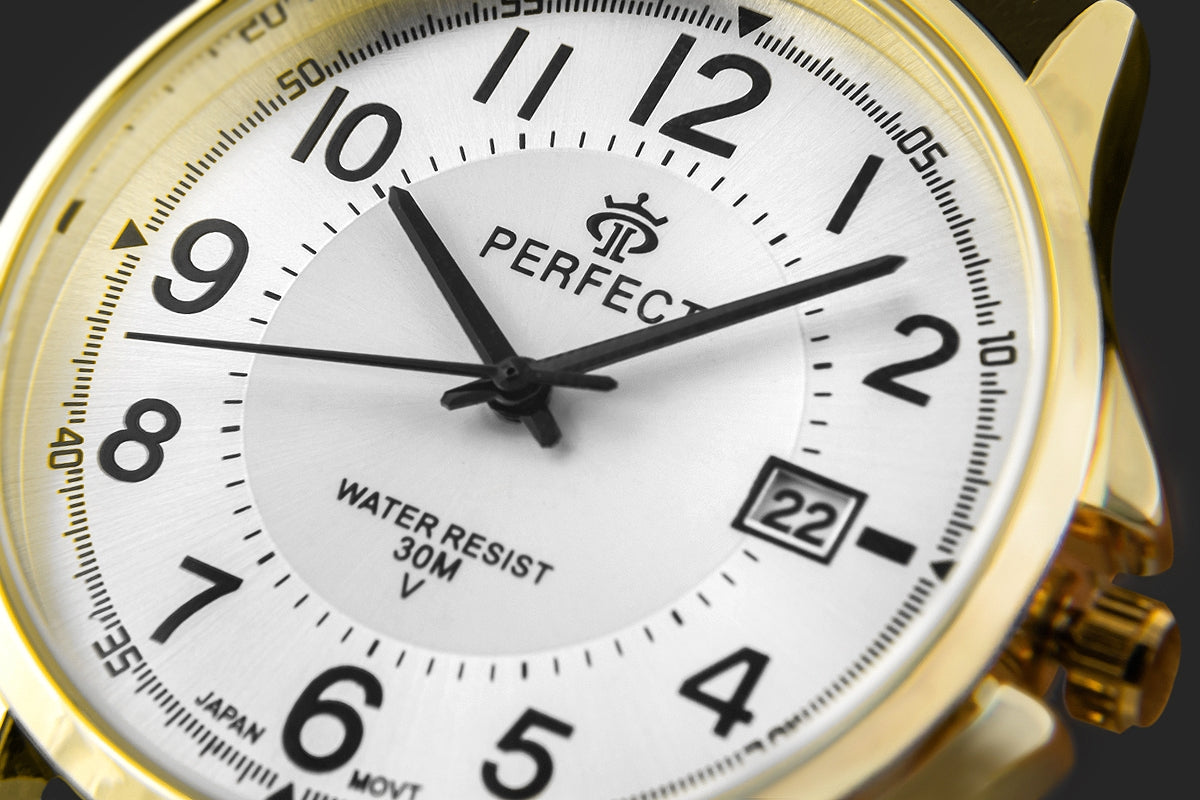Zegarek Męski PERFECT C710T-10